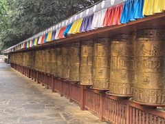 -云南民族村