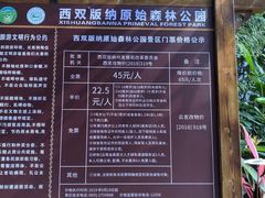 -西双版纳原始森林公园