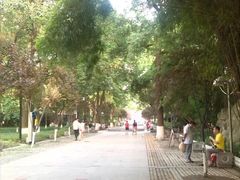 -绵阳人民公园(涪城区)