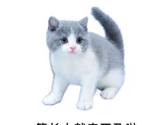 -宠福鑫动物医院·动物疾病诊疗中心(天通苑店)