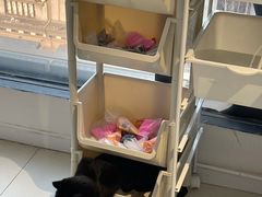 -怪兽屋·羊驼·猫咖·狗咖(俊华广场店)
