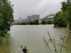 -长兴太湖图影湿地文化园