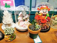 -BOBLOOM花店(宝龙旭辉广场店)