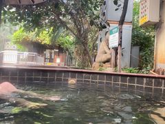 -龙达温泉生态城