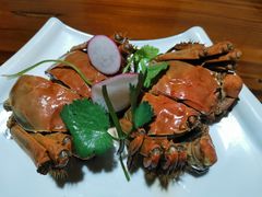 -呼吸森林·生态农庄农家乐私房菜