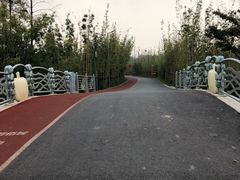 -上海长兴岛郊野公园