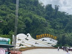 -西双版纳原始森林公园