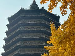 -玲珑塔公园