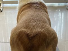 -平行世界·猫咖(首经贸店)