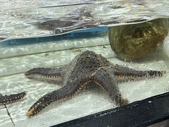 -沙田台山海鲜·酣客酒窖