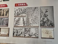 -解放阁