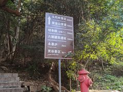 -紫金山山顶公园