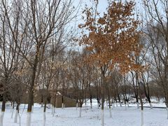 -长春世界雕塑园冰雪艺术天地