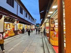 -枣子树·素食餐厅(普陀山店)