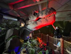 -恐龙探索乐园(磁器口店)