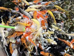 -福州罗源湾海洋世界旅游区