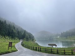 -武陵山森林公园