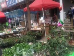 -哈尔滨道外花鸟鱼市场