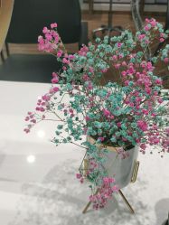 -YESIDO椰岛造型