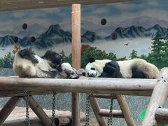 -西安秦岭野生动物园