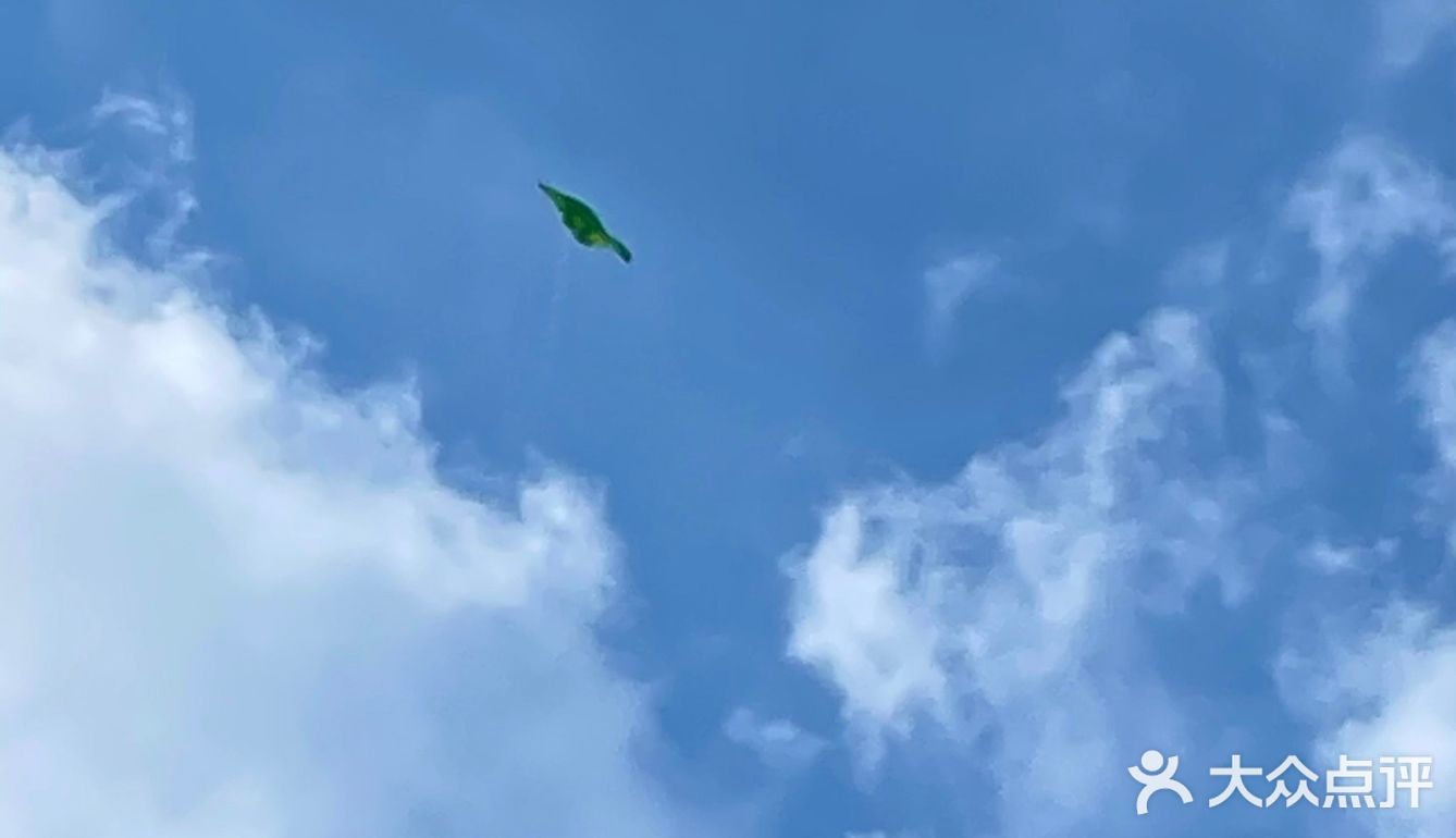 一杯%Arabica致敬夏天