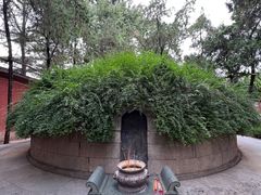 -洛阳白马寺