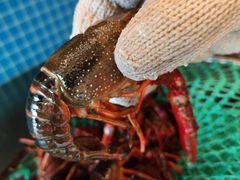 -潇湘·永州会馆(百子湾店)