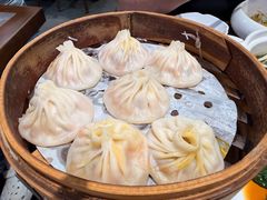 -莱莱小笼·乔艾