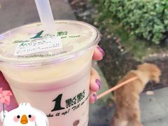 -锅来乐地锅鸡(安亭店)
