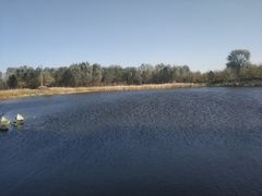 -东郊湿地公园