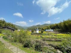 -宁波浙东大竹海景区