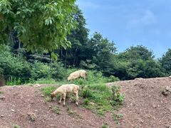 -杭州野生动物世界