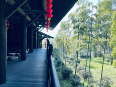 -大唐贡茶院