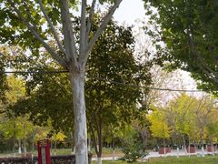 -三五九旅屯垦纪念馆