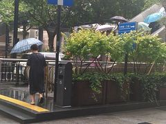-浙江大学医学院附属第二医院(解放路院区)