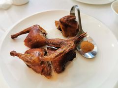 妙龄乳鸽-西苑半岛·中餐厅