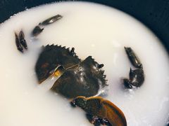 -九万士多港式海鲜粥底火锅(回龙观店)