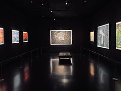 -罗红摄影艺术馆