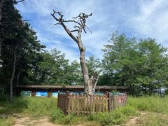 -高尔山公园