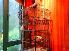 -申粤轩酒楼·三十年粤菜经典(丁香花园店)