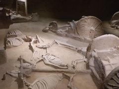 -洛阳周王城天子驾六博物馆