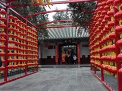 -关林