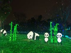 -国际非物质文化遗产博览园