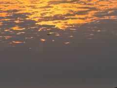 -北岐滩涂