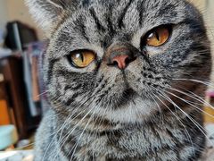 -沈阳海洋探索中心