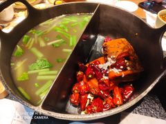 -盡膳口福跷脚牛肉火锅(北美新天地店)