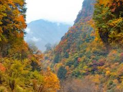 -孟屯河谷景区