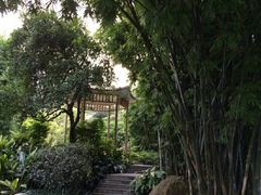 -晓港公园