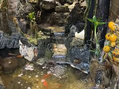 -吴财记面家(大同路店)
