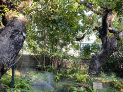 -Chom Cafe and Restaurant